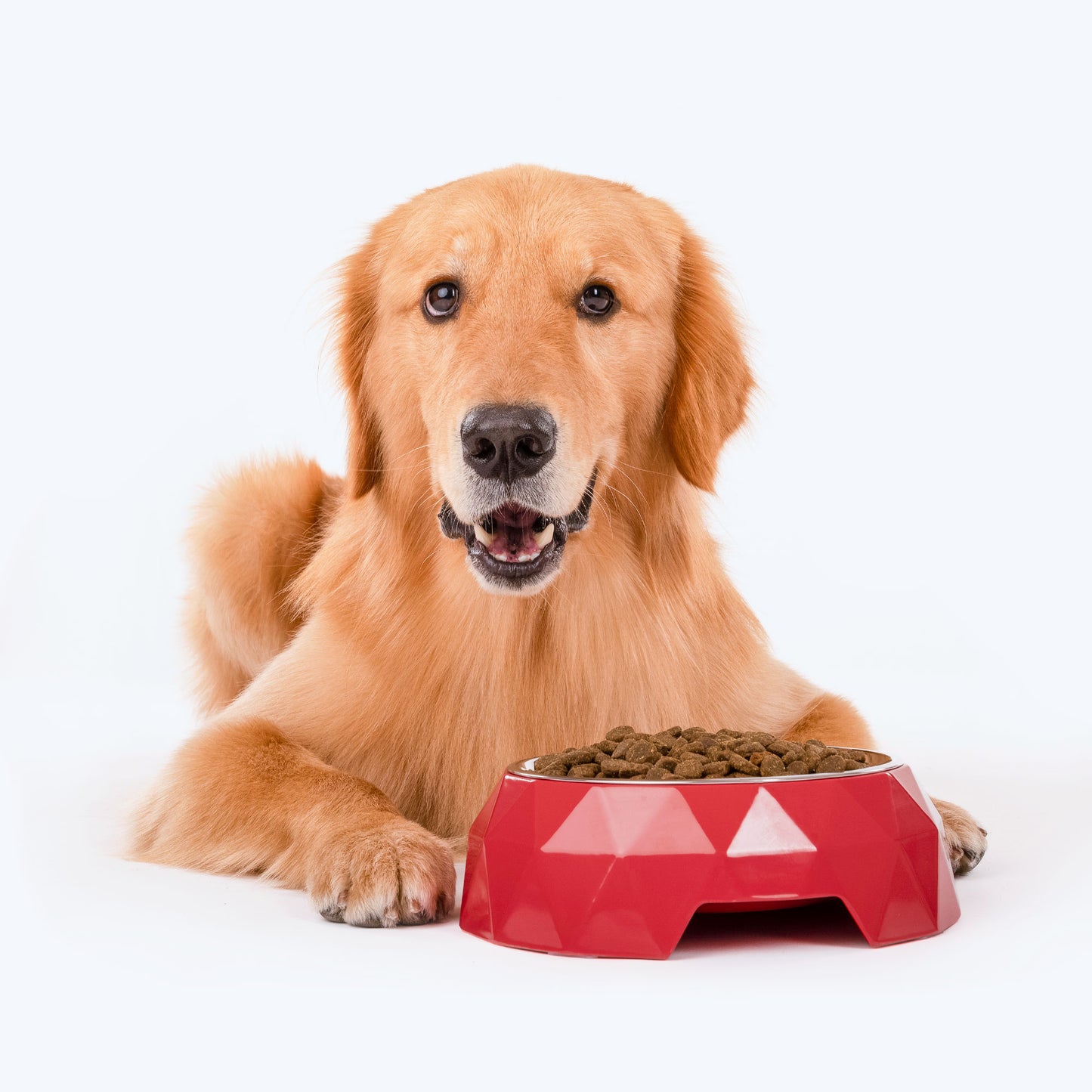 HUFT Diamond Melamine Bowl For Pets (Coral) - Heads Up For Tails