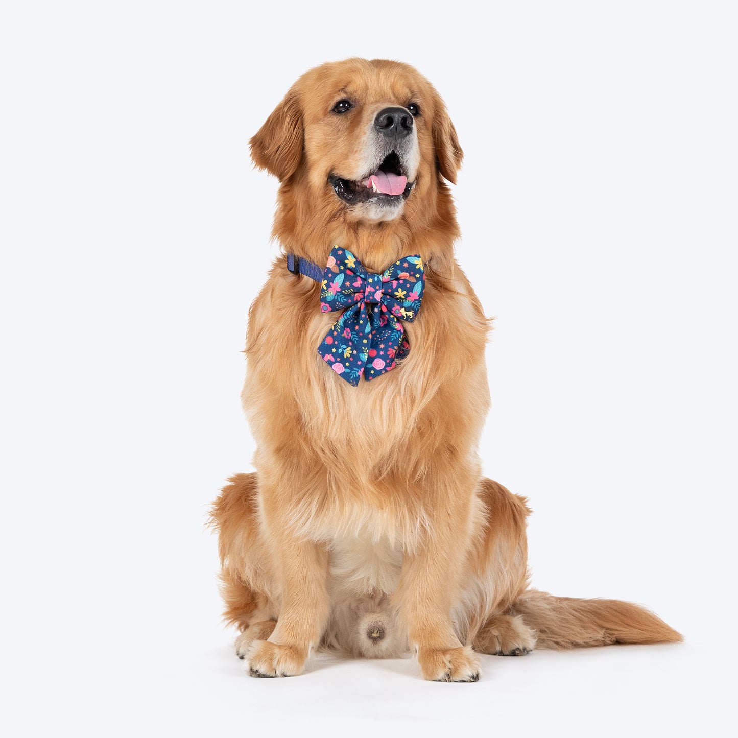 HUFT Bloomscape Printed Lady Bow Tie for Dog - Navy - Heads Up For Tails