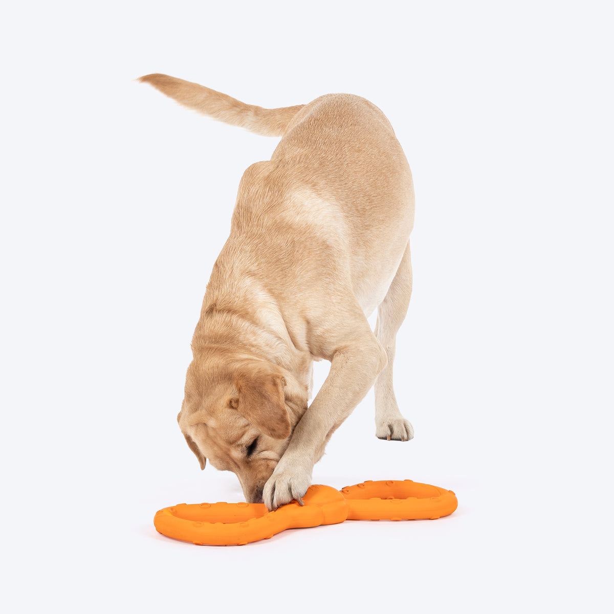 HUFT Chewtastic Twistie Chew Toy For Dog - Orange - Heads Up For Tails