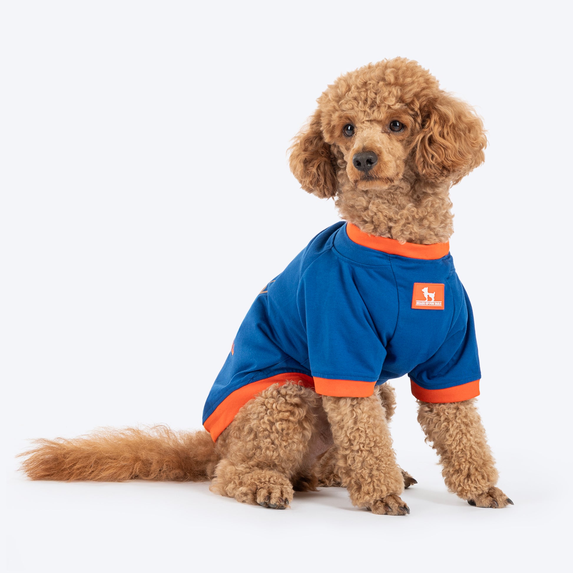 HUFT I Woof You Printed T-Shirt For Dog - Navy Blue - Heads Up For Tails