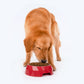 HUFT Diamond Melamine Bowl For Pets (Coral) - Heads Up For Tails