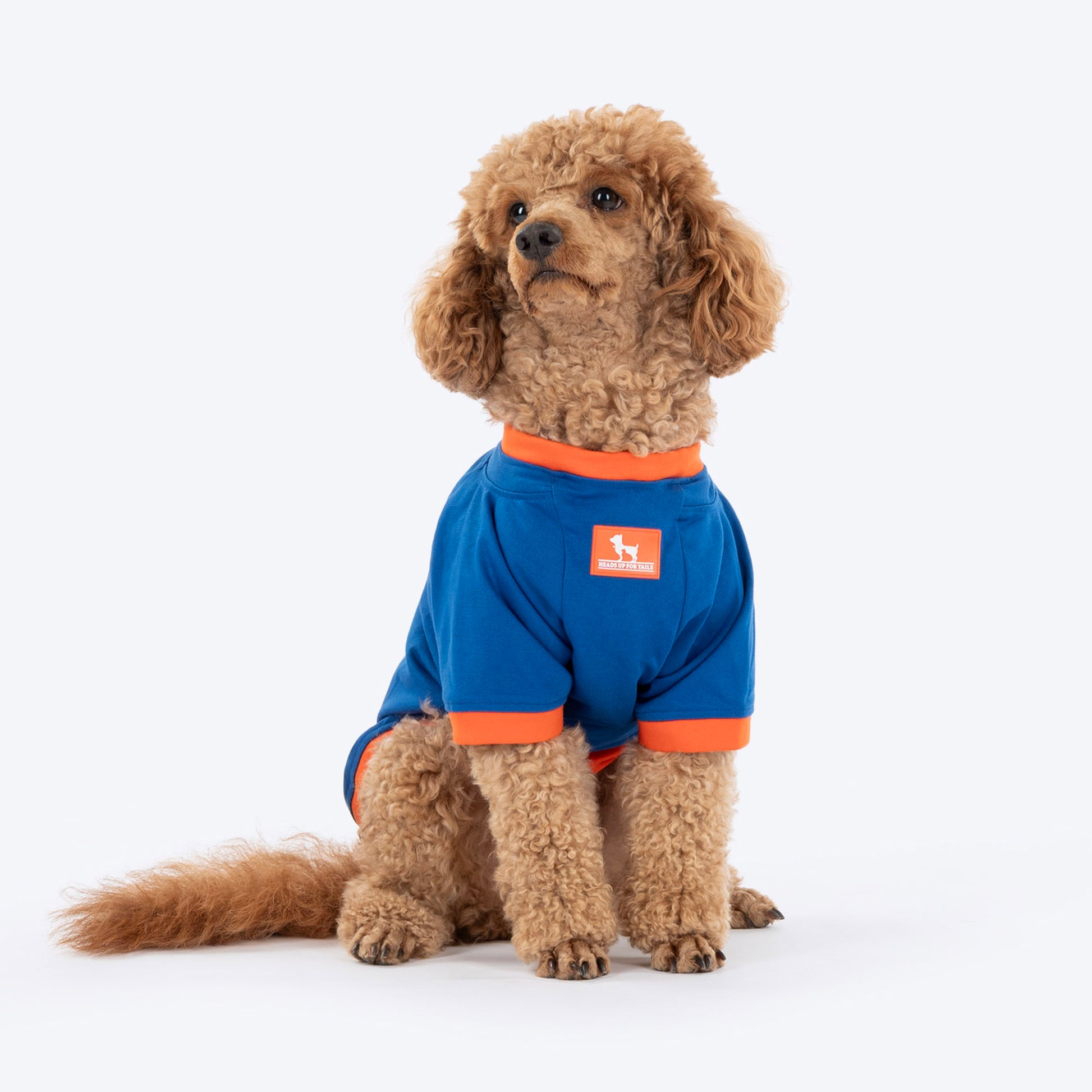 HUFT I Woof You Printed T-Shirt For Dog - Navy Blue - Heads Up For Tails