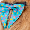 HUFT Over The Rainbow Printed Bow Tie for Dog - Blue - Heads Up For Tails