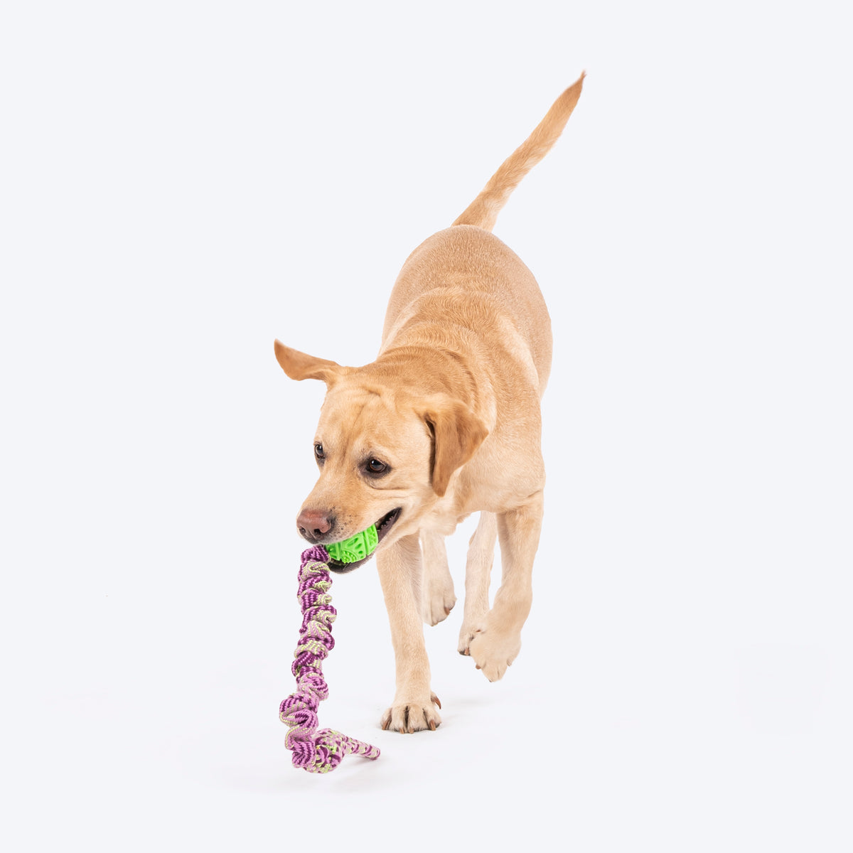 HUFT Tuggables Stretch 'N Chew Rope Toy For Dog - Purple - Heads Up For Tails