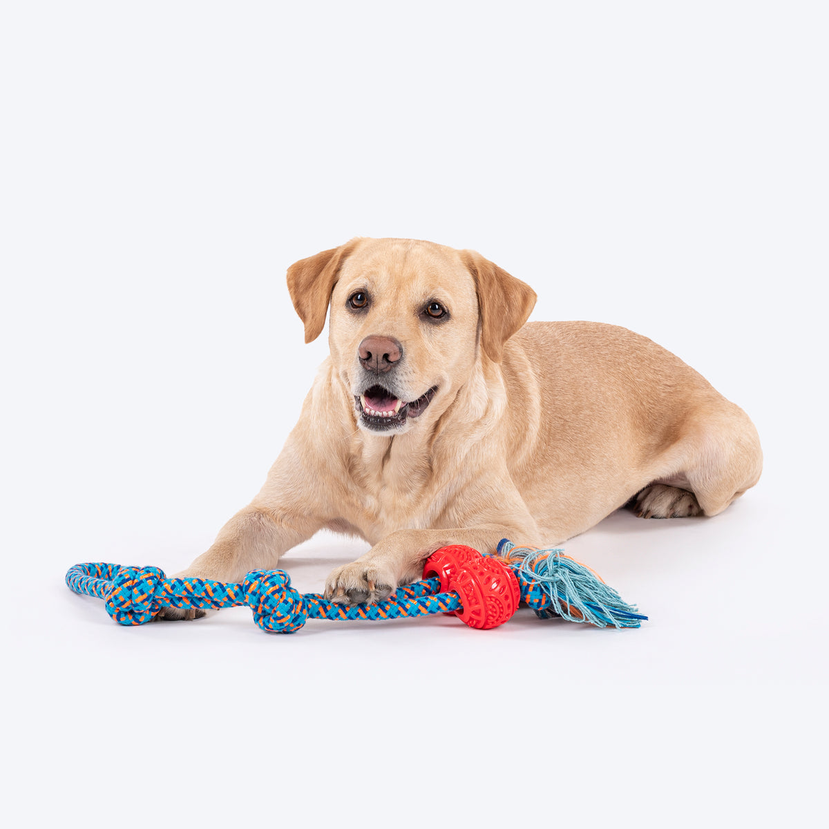 HUFT Tuggables Twin Tossers Rope Toy For Dog - Blue & Red - Heads Up For Tails