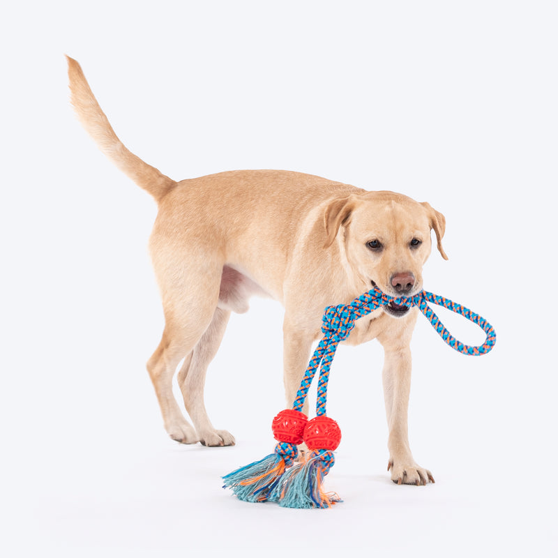 HUFT Tuggables Twin Tossers Rope Toy For Dog - Blue & Red - Heads Up For Tails