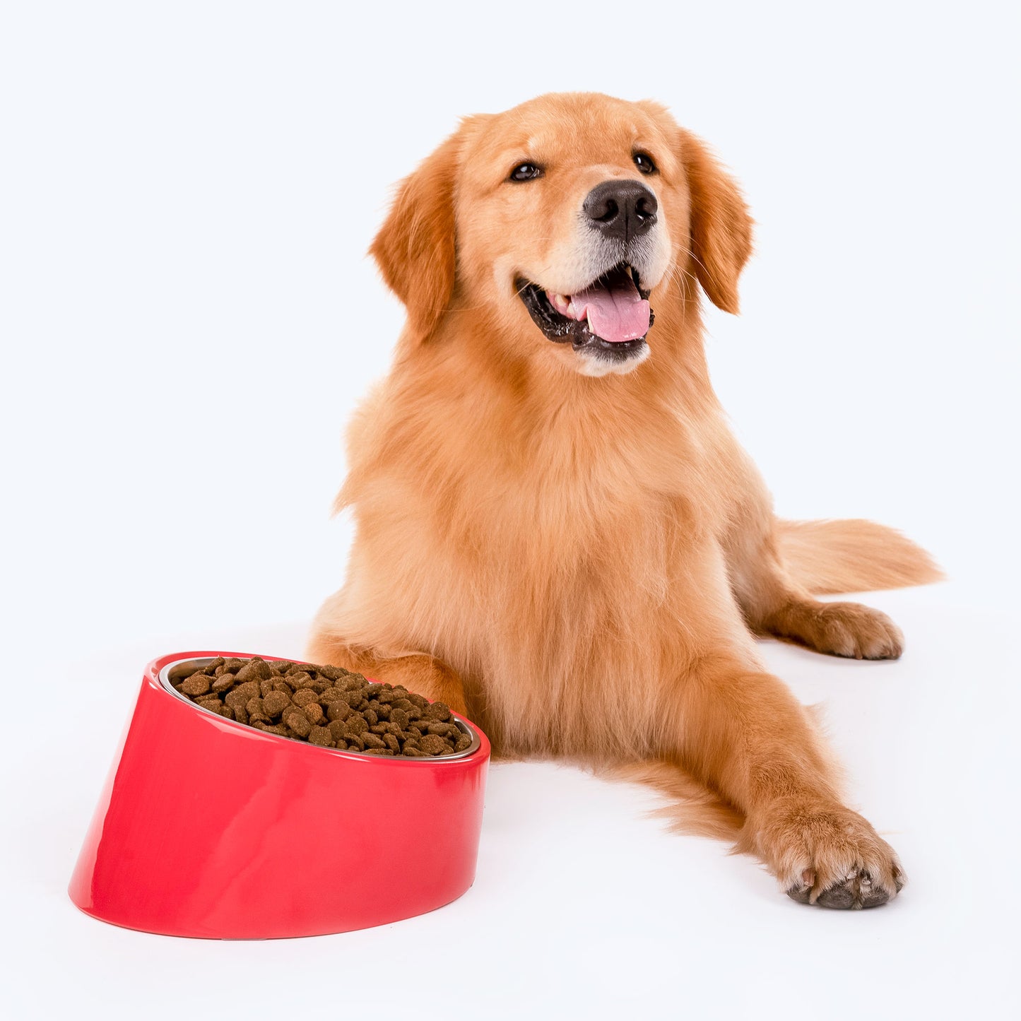 HUFT Slant Melamine Bowl For Pets (Coral) - Heads Up For Tails