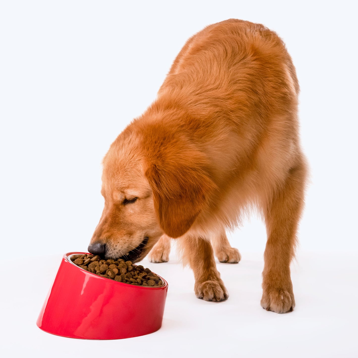 HUFT Slant Melamine Bowl For Pets (Coral) - Heads Up For Tails