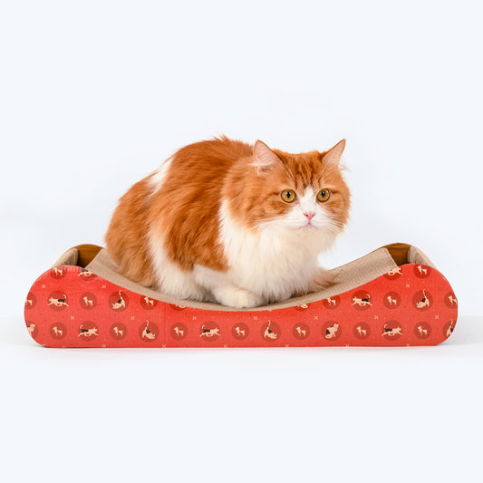 HUFT Kitty Claws Cat Scratcher – Orange - Heads Up For Tails