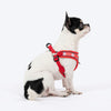 HUFT Free Flow Step In Harness & Leash Set For Dog - Berry Bliss Red - Heads Up For Tails