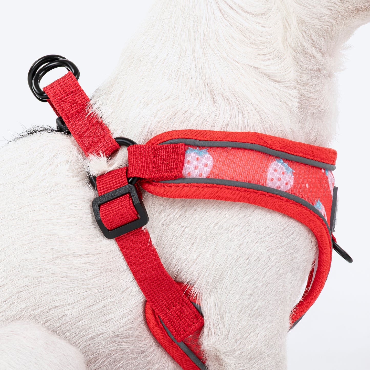 HUFT Free Flow Step In Harness & Leash Set For Dog - Berry Bliss Red - Heads Up For Tails