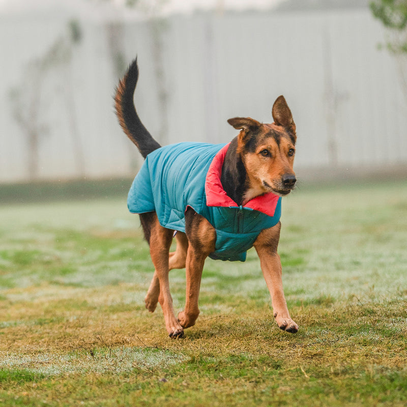 Dash Dog Puffer Dog Jacket - Aqua & Coral_02