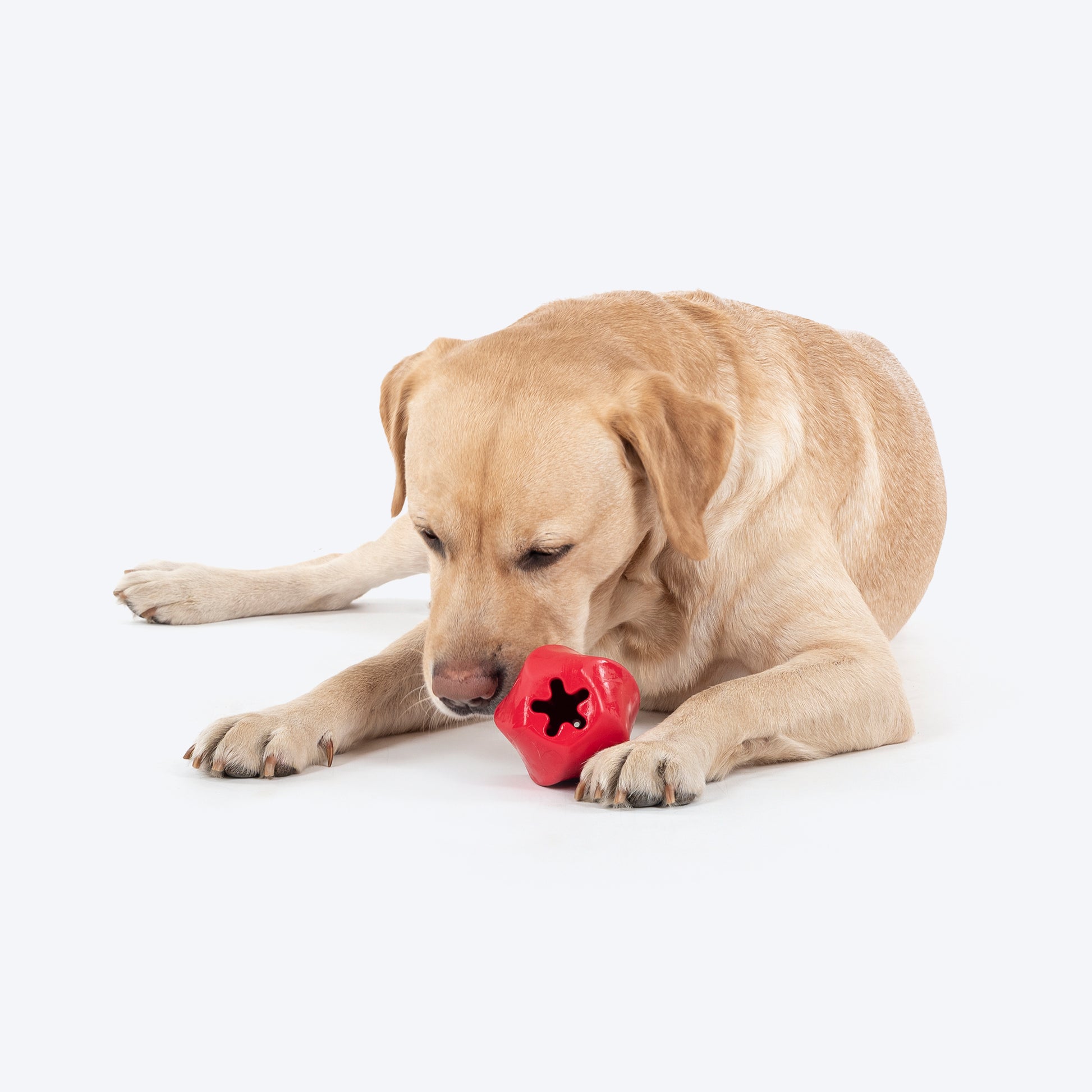 HUFT Chewtastic Treat Tumbler Chew Toy For Dog - Red - Heads Up For Tails