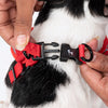 HUFT Free Flow Step In Harness & Leash Set For Dog - Berry Bliss Red - Heads Up For Tails