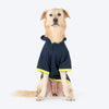 Dash Dog Super Strider Hoodie Sweatshirt For Dog - Navy Blue - Heads Up For Tails