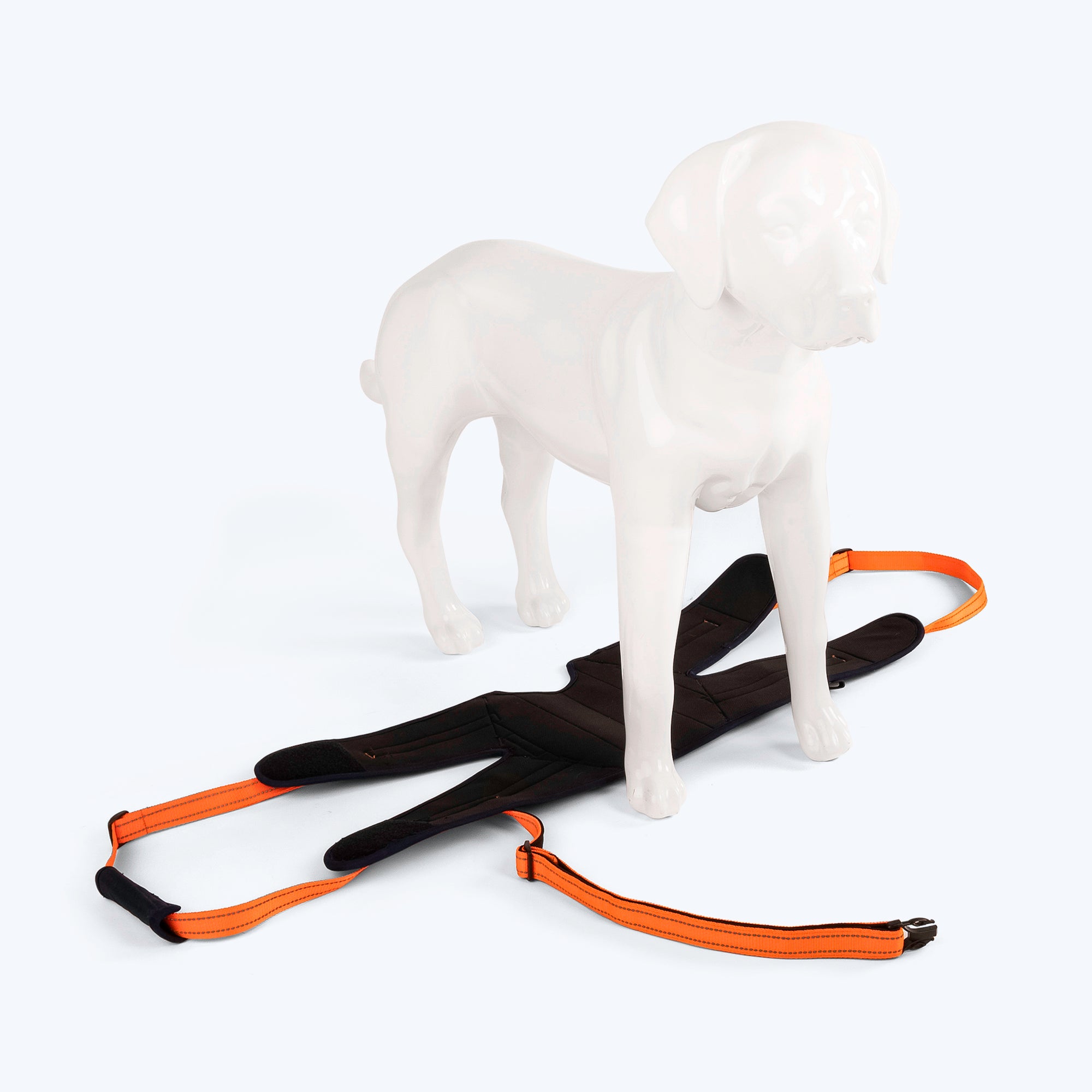 Belly leash shop for dogs