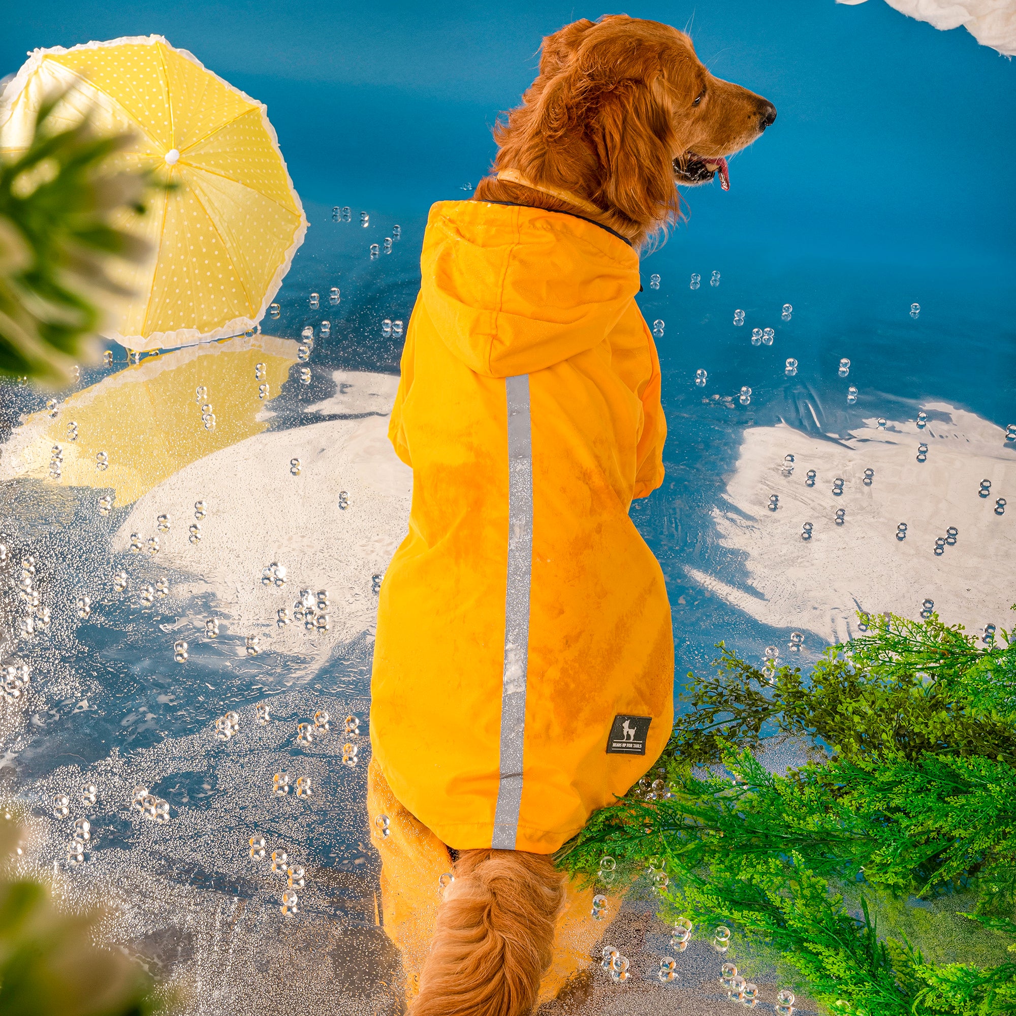 Dog in 2024 yellow raincoat