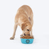 HUFT Evil Eye Printed Steel Bowl For Dog - Blue - Heads Up For Tails