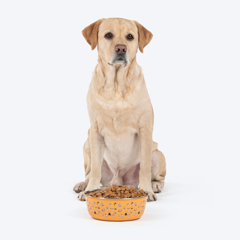 HUFT Doodle Tails Printed Steel Bowl For Dog - Yellow - Heads Up For Tails