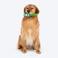 HUFT Homebody Essentials Toy Combo For Dog
