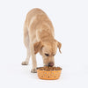 HUFT Doodle Tails Printed Steel Bowl For Dog - Yellow - Heads Up For Tails