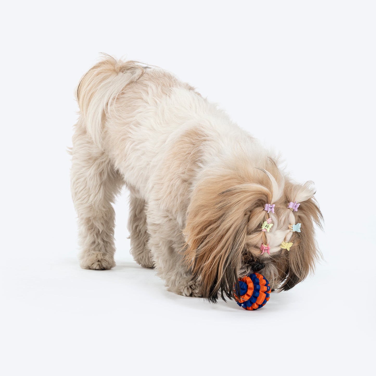 HUFT Chewtastic Treat Maze Chew Toy For Dog - Orange & Blue - Heads Up For Tails
