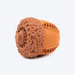 HUFT Chewtastics Nutty Chew Toy For Dog - Brown_04