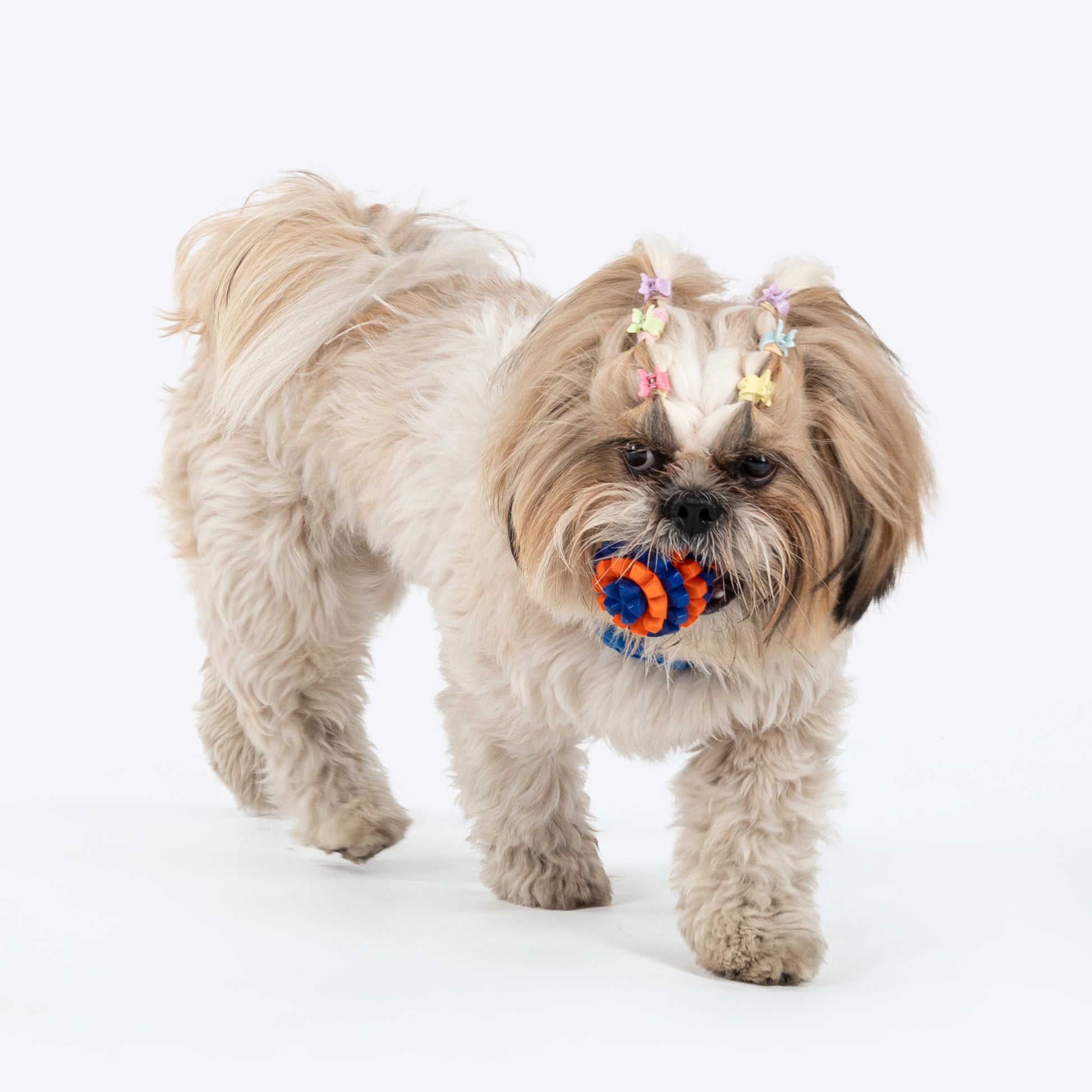 HUFT Chewtastic Treat Maze Chew Toy For Dog - Orange & Blue - Heads Up For Tails