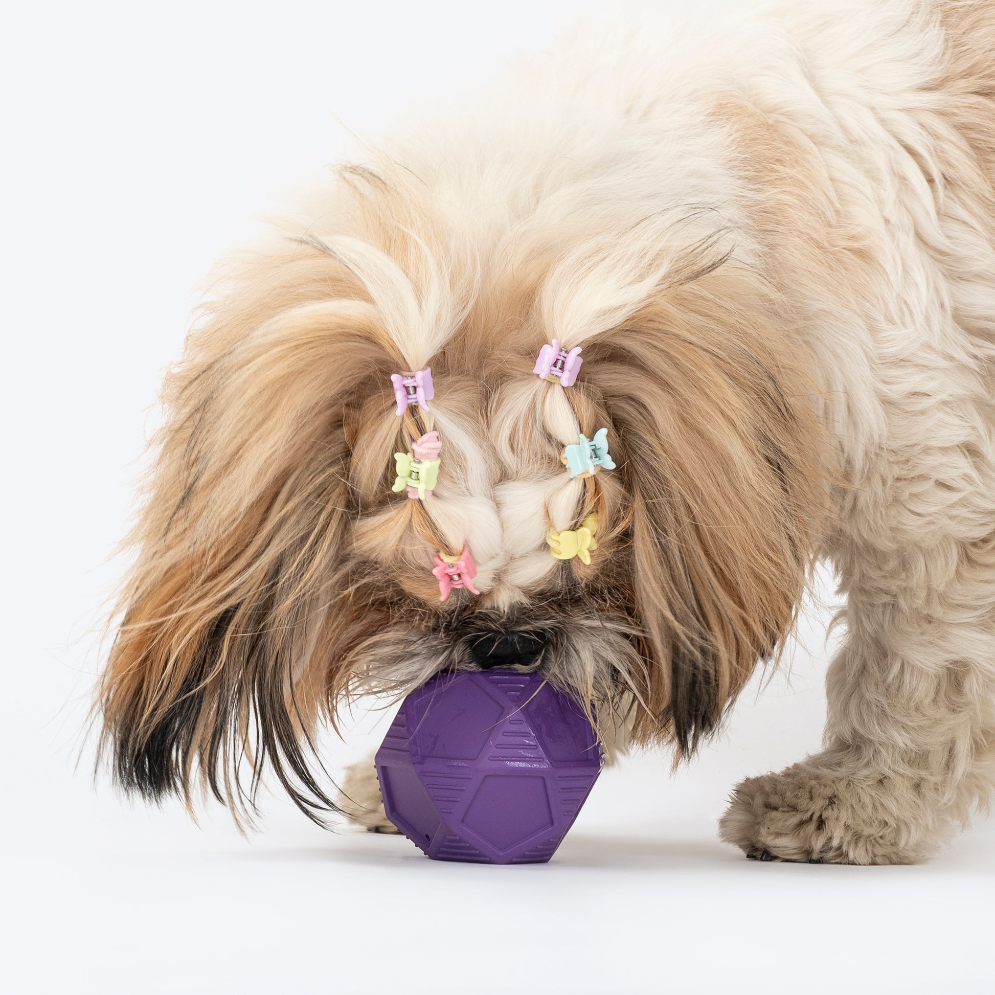 HUFT Chewtastic Bounce & Treat Ball Chew Toy For Dog - Purple - Heads Up For Tails