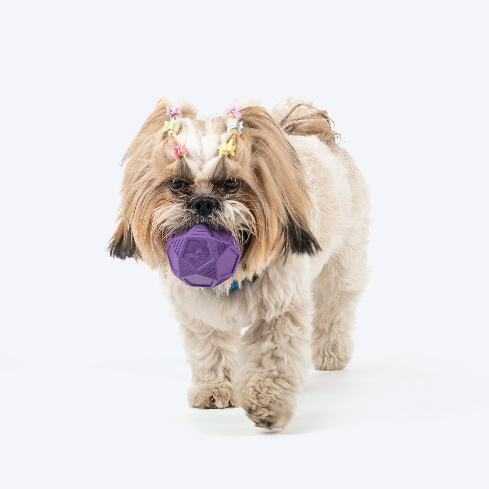 HUFT Chewtastic Bounce & Treat Ball Chew Toy For Dog - Purple - Heads Up For Tails