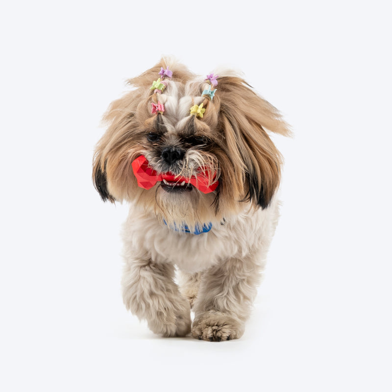 HUFT Chewtastic Snack Stick Chew Toy For Dog - Red - Heads Up For Tails