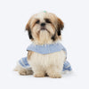 HUFT Tailor Stripe Dress For Dog - Blue - Heads Up For Tails