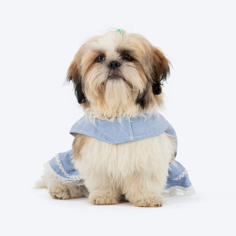 HUFT Tailor Stripe Dress For Dog - Blue - Heads Up For Tails