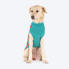 HUFT Snug Stripes Sweater For Dog - Turquoise Orange - Heads Up For Tails
