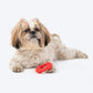 HUFT Chewtastic PowerRing Chew Toy For Dog - Red - Heads Up For Tails