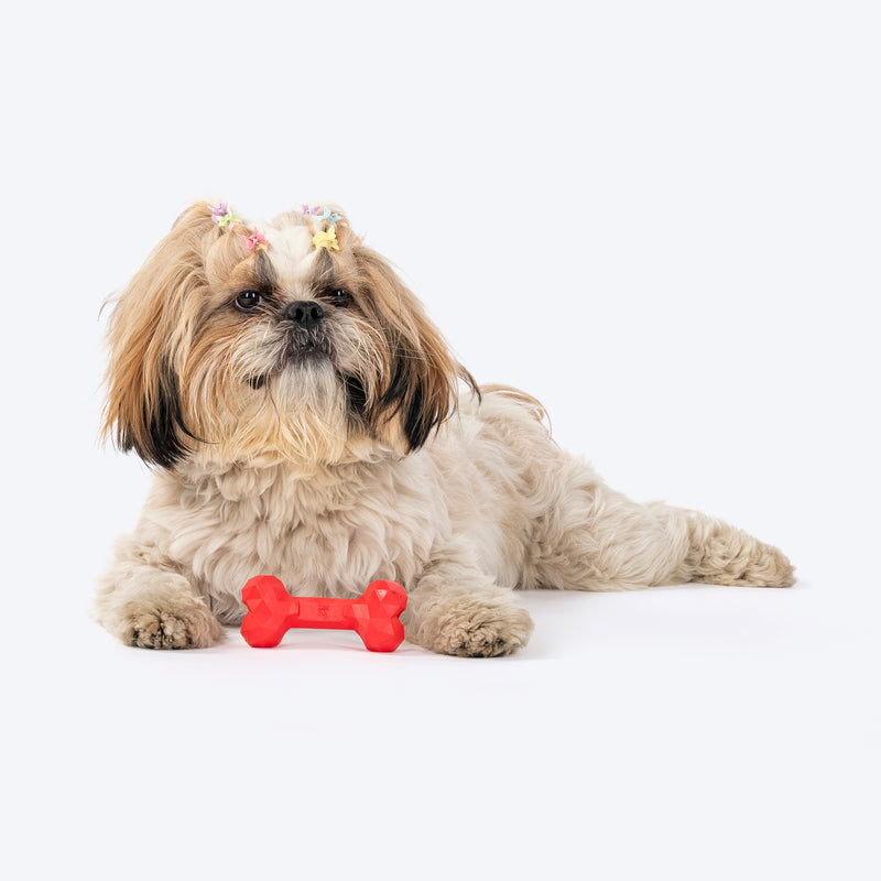 HUFT Chewtastic Snack Stick Chew Toy For Dog - Red - Heads Up For Tails