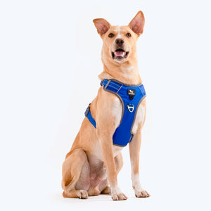 HUFT Active Pet Dog Harness - Royal Blue - Heads Up For Tails