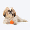 HUFT Chewtastic Mini Feeder Chew Ball For Dog - Orange - Heads Up For Tails