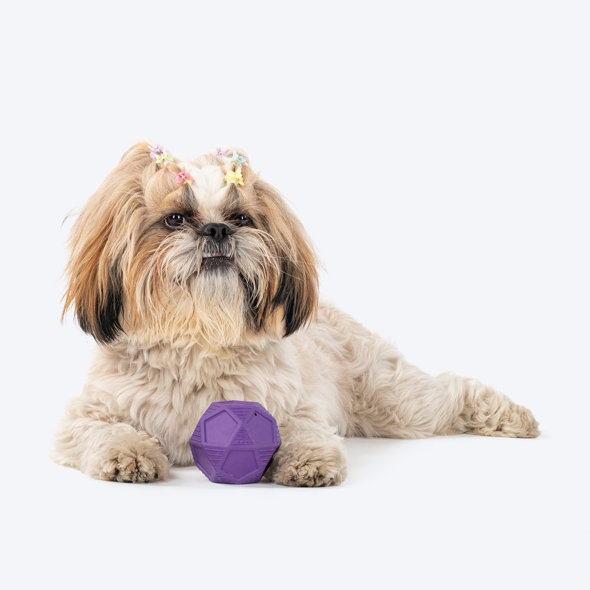 HUFT Chewtastic Bounce & Treat Ball Chew Toy For Dog - Purple - Heads Up For Tails