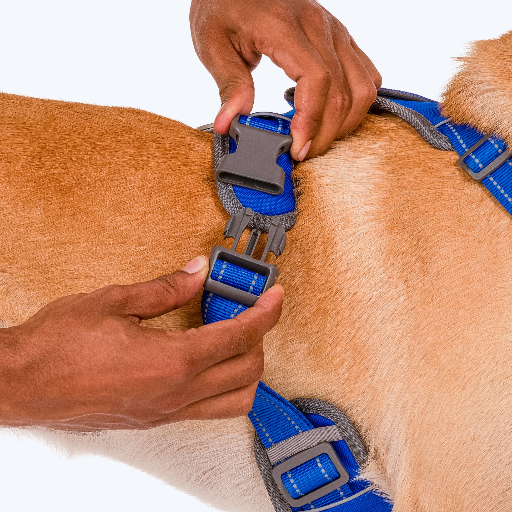 HUFT Active Pet Dog Harness - Royal Blue - Heads Up For Tails