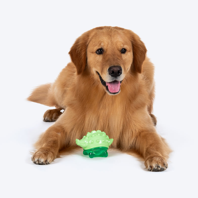 HUFT Crocodile Rubber Toy For Dog - Green - Heads Up For Tails