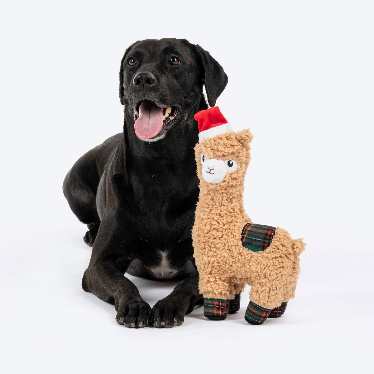 HUFT Joy Llama Plush Toy For Dog – Beige & Red - Heads Up For Tails