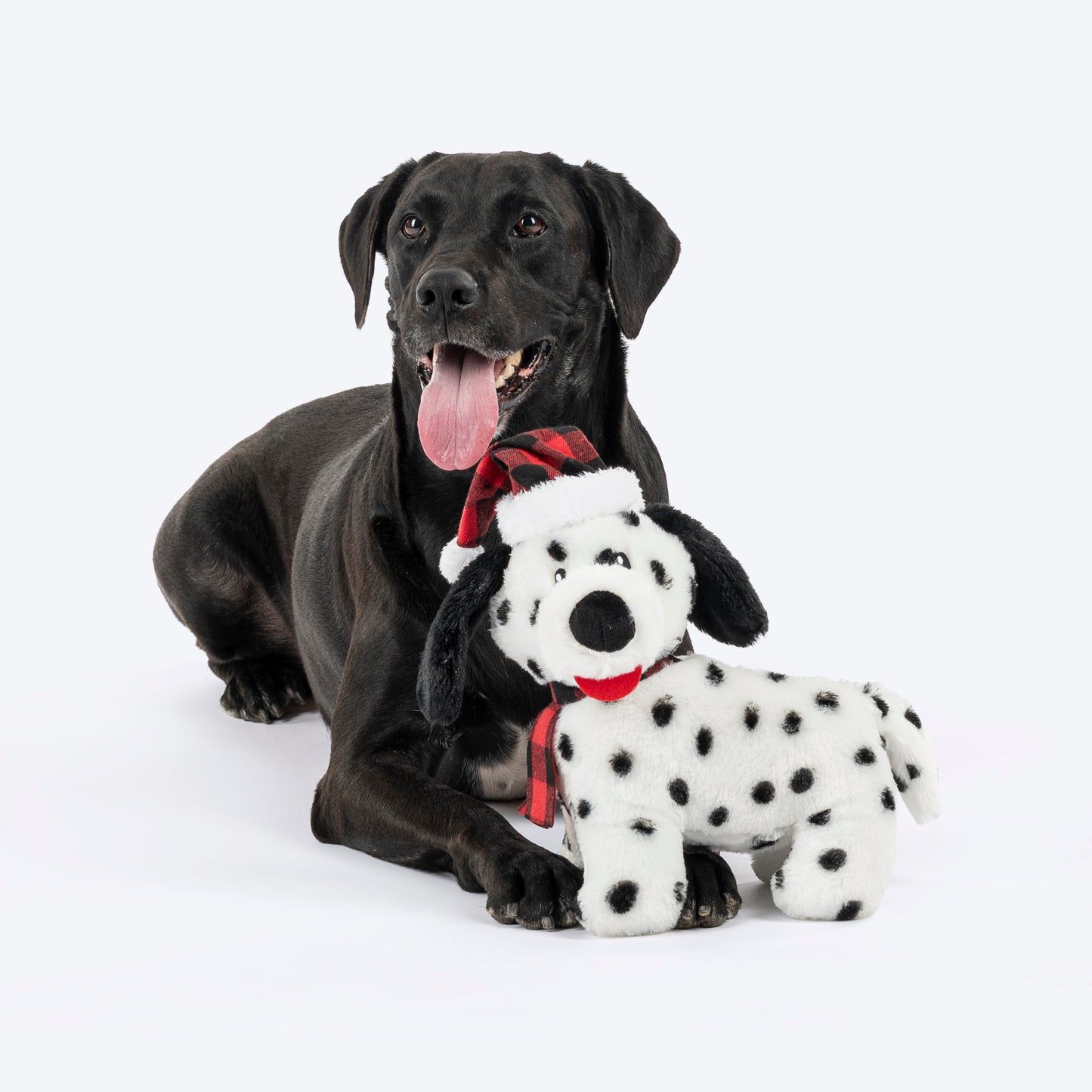 HUFT Dotted Doggo Plush Toy For Dog - White & Black