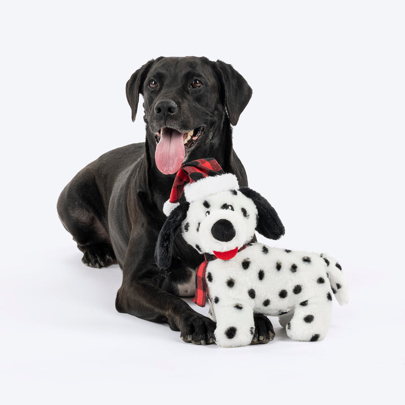 HUFT Dotted Doggo Plush Toy For Dog - White & Black - Heads Up For Tails