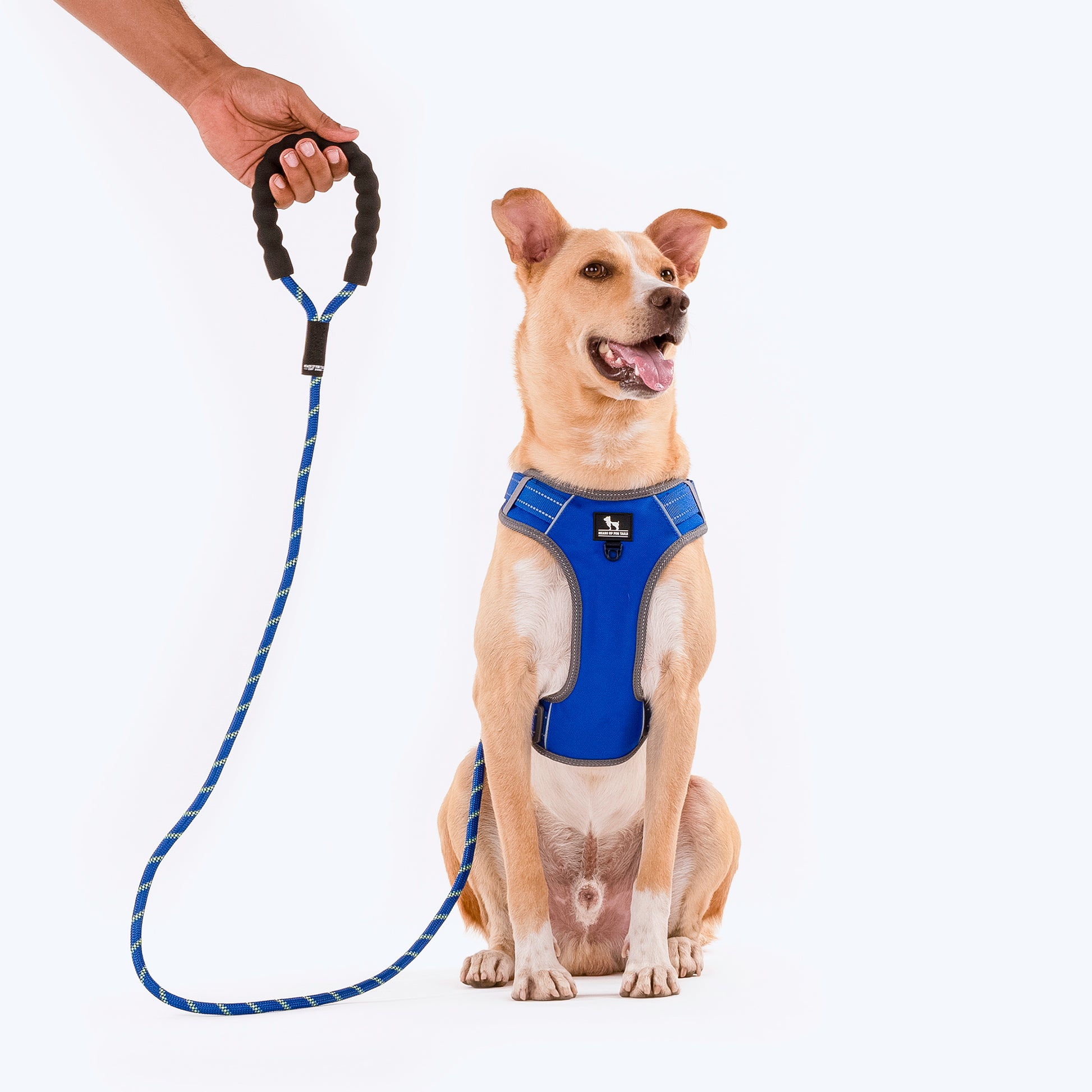 HUFT Rope Dog Leash With Carabiner - Royal Blue - Heads Up For Tails
