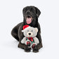 HUFT Beary Merry Plush Toy For Dog - White & Green