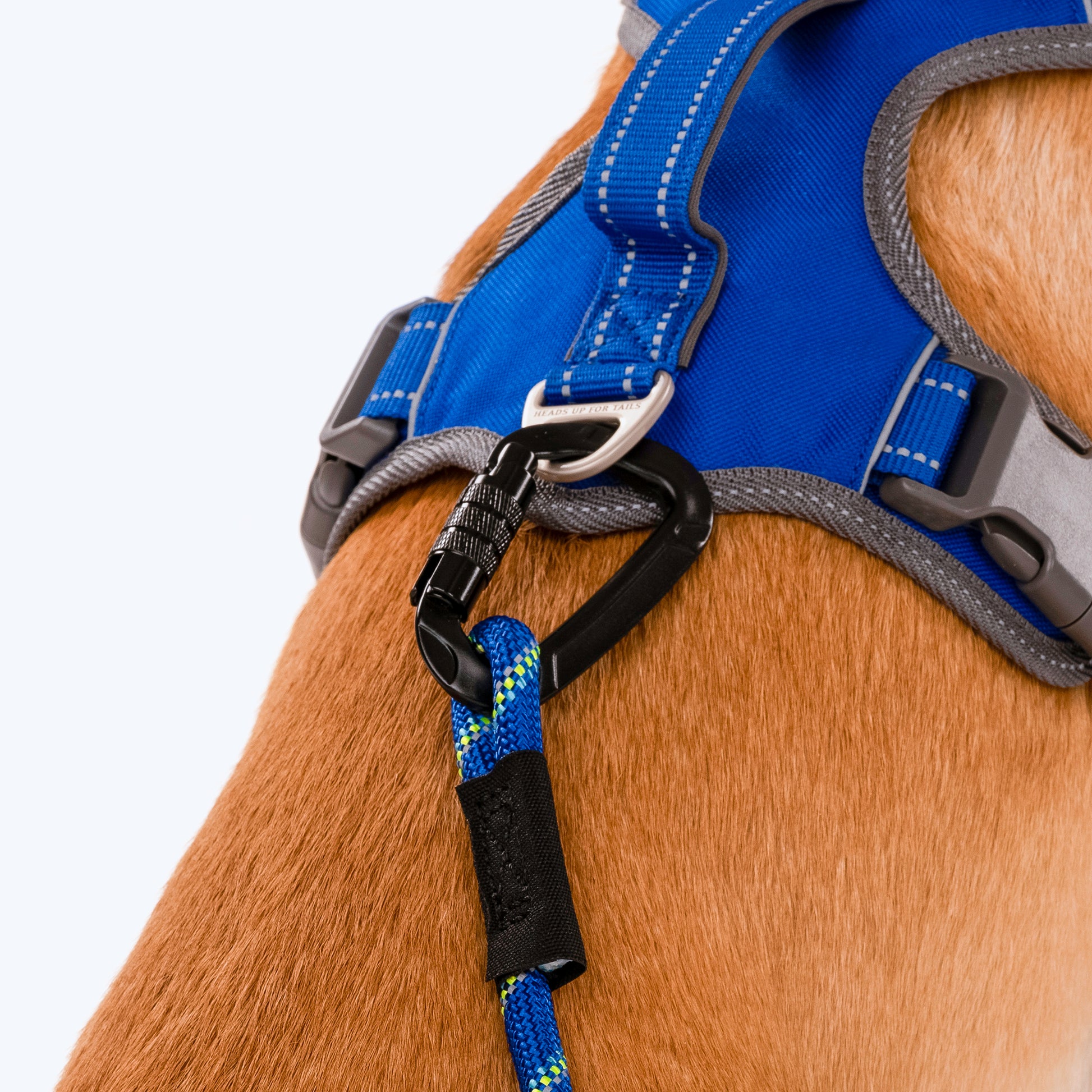 HUFT Rope Dog Leash With Carabiner - Royal Blue - Heads Up For Tails