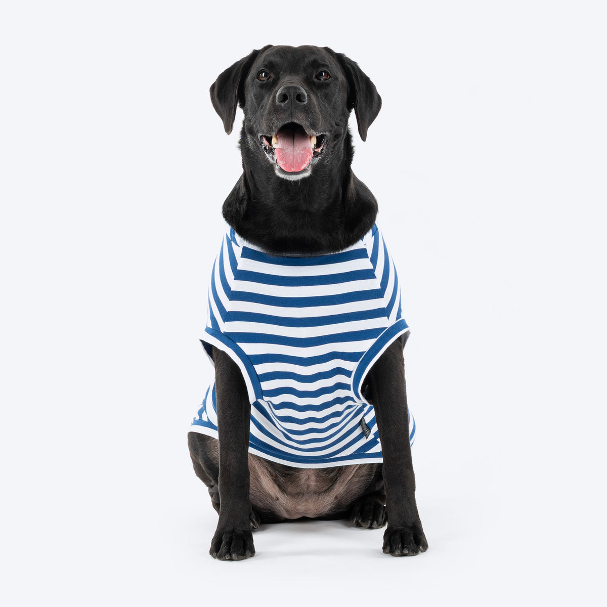 HUFT Best Dog Striped T-Shirt For Dog - Navy Blue & White - Heads Up For Tails