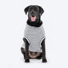 HUFT Cuddle Bug Striped T-Shirt For Dog - Black & White - Heads Up For Tails