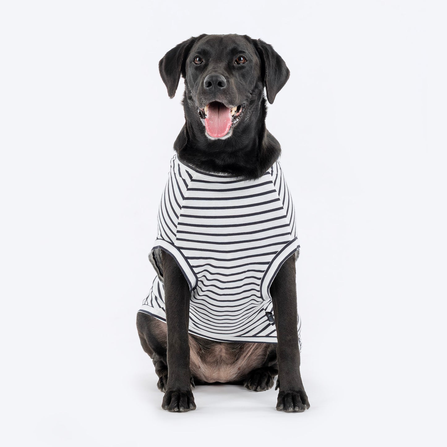 HUFT Cuddle Bug Striped T-Shirt For Dog - Black & White
